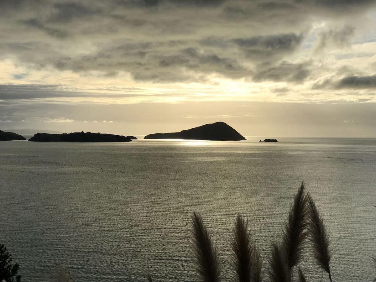 Island View Experience Villa Coromandel Eksteriør bilde