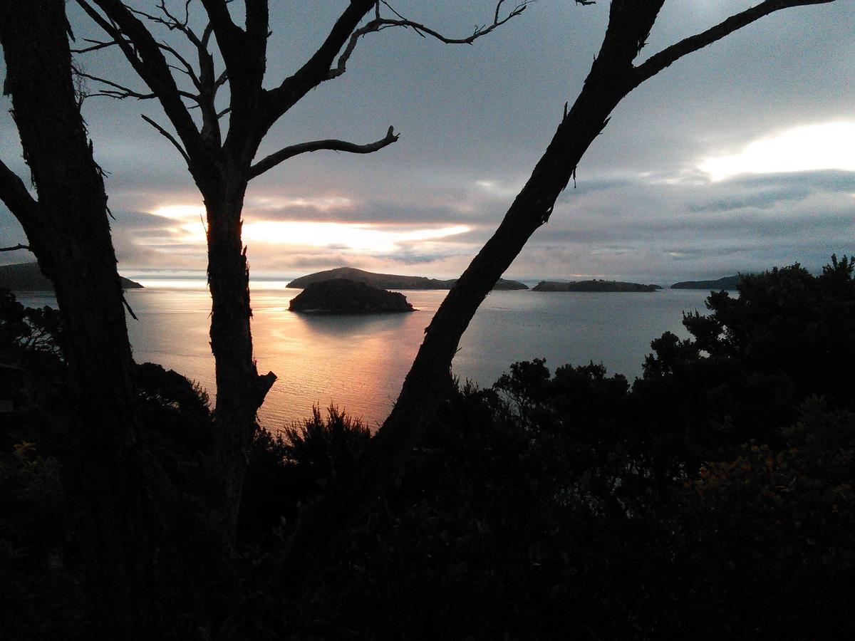Island View Experience Villa Coromandel Eksteriør bilde